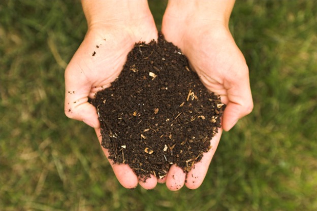 Soil Health is in Our Hands